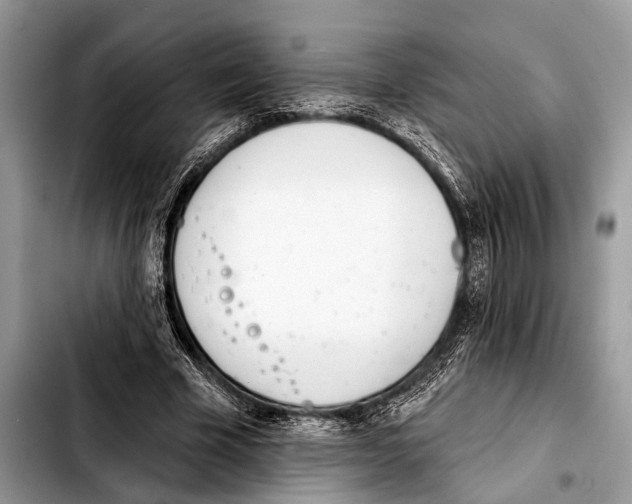 X0000103440585200810101107