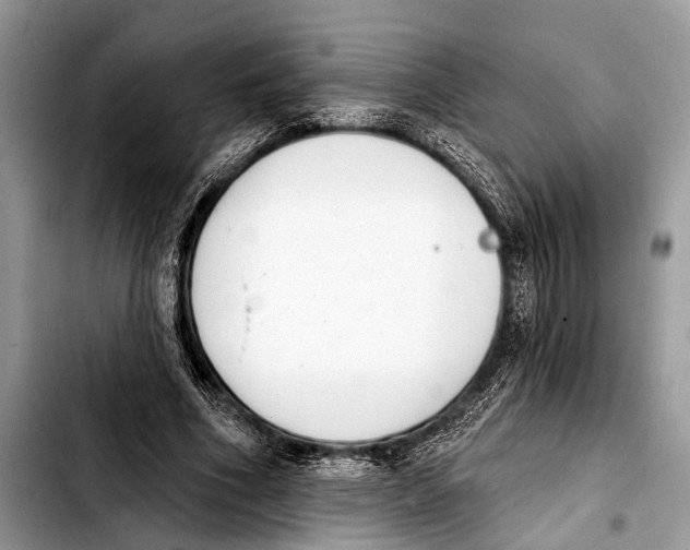 X0000103440586200810101107