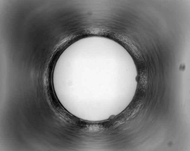 X0000103440587200810101107