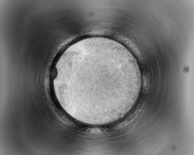 X0000103440588200810101107