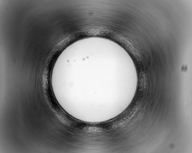 X0000103440590200810101107
