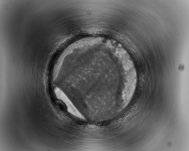 X0000103440592200810101107