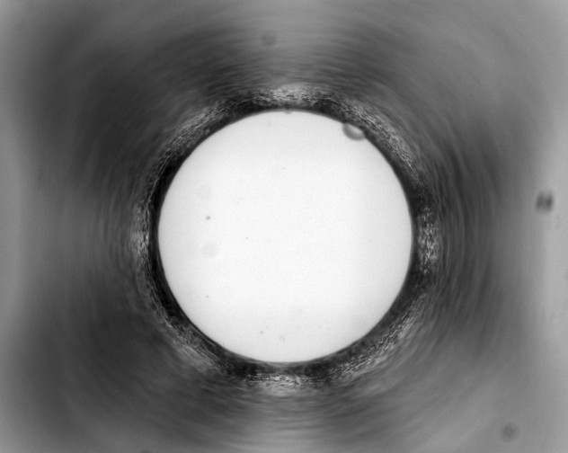 X0000103440593200810101107