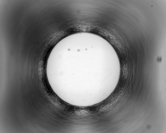 X0000103440594200810101107