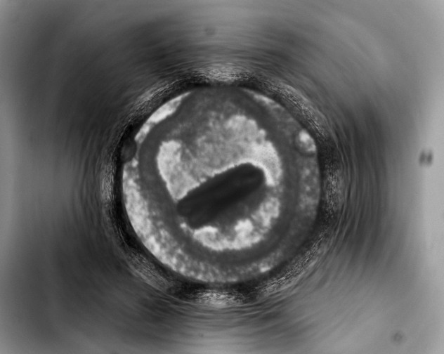 X0000103440596200810101107