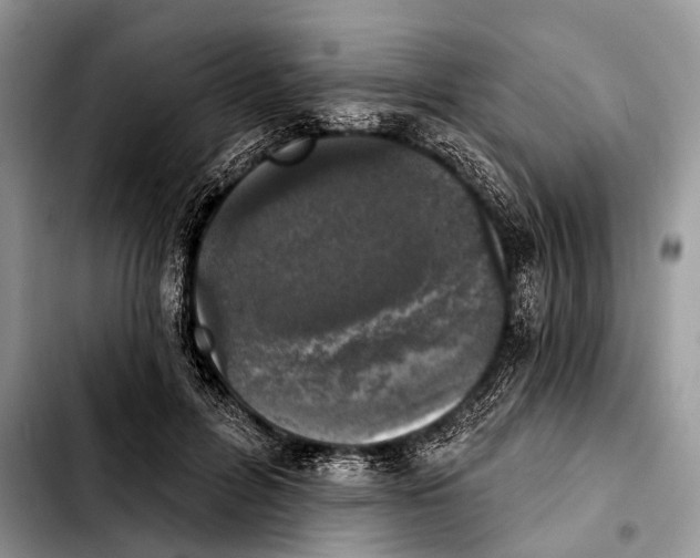 X0000103440600200810101107