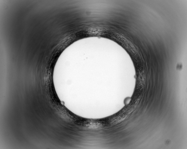 X0000103440601200810101107