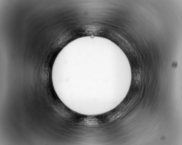 X0000103440603200810101107
