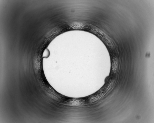 X0000103440604200810101107