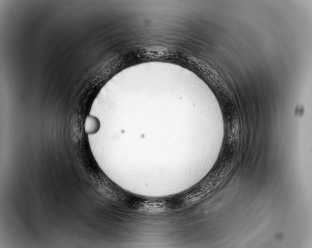 X0000103440606200810101107