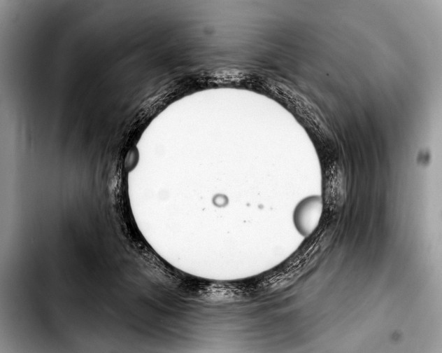 X0000103440608200810101107