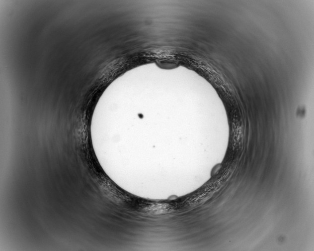 X0000103440609200810101107