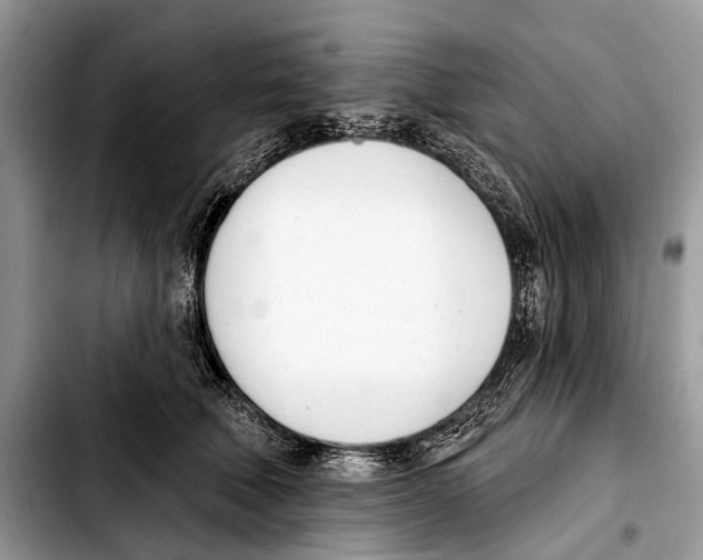 X0000103440610200810101107