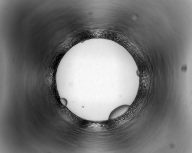 X0000103440611200810101107