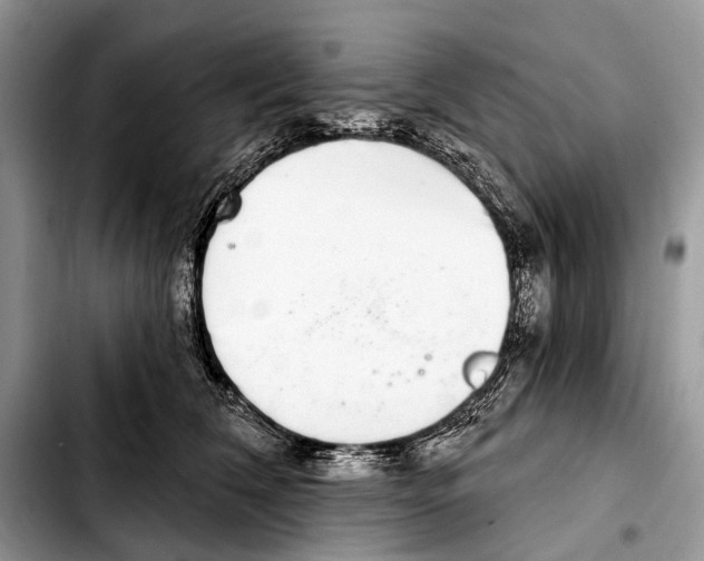 X0000103440612200810101107