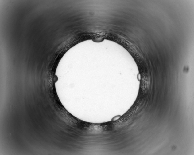 X0000103440613200810101107