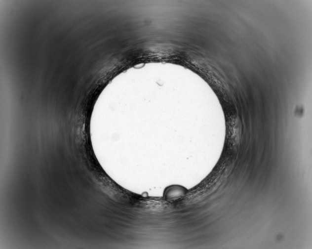 X0000103440615200810101107