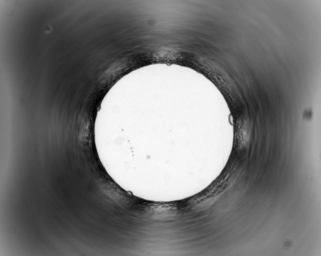 X0000103440619200810101107