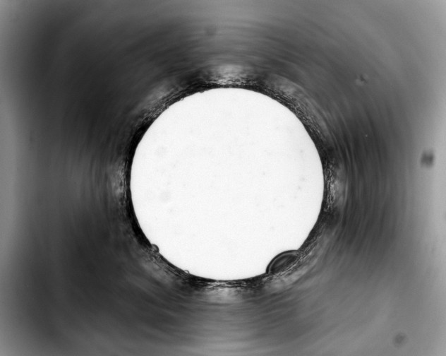 X0000103440620200810101106