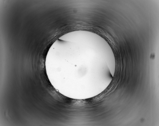 X0000103440621200810101106
