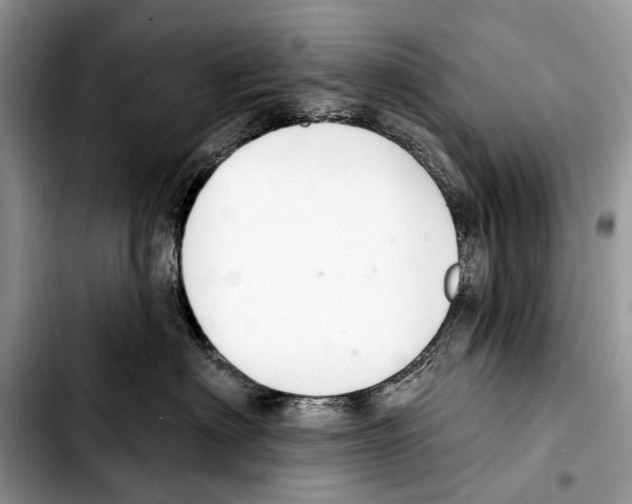 X0000103440622200810101106