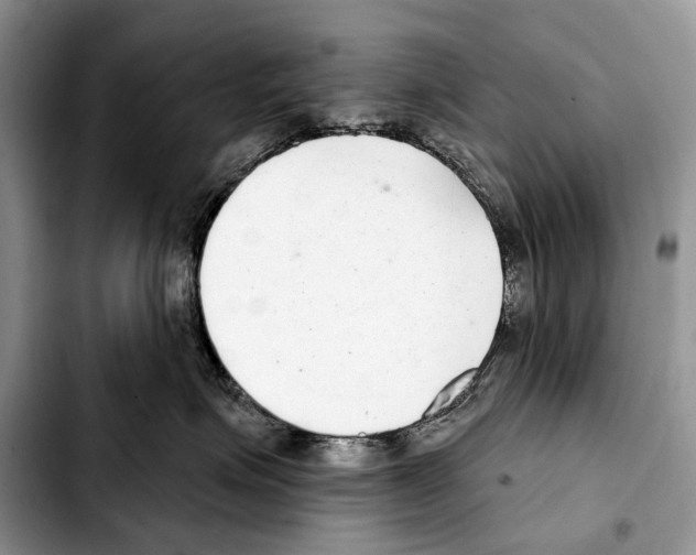 X0000103440623200810101106