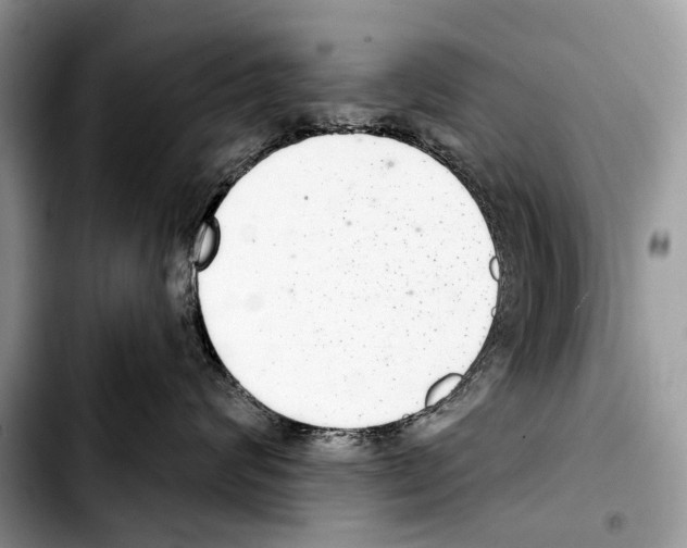 X0000103440624200810101106