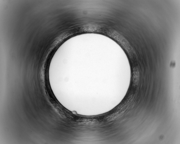 X0000103440626200810101106