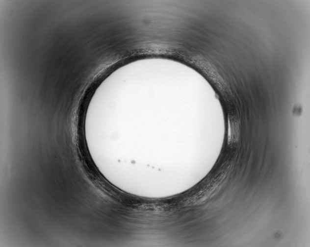 X0000103440627200810101106