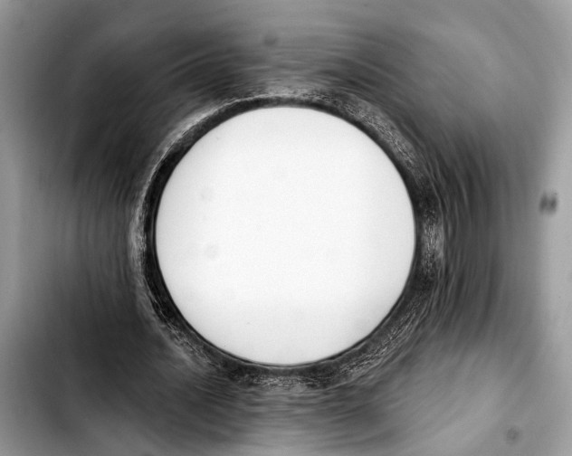 X0000103440628200810101106