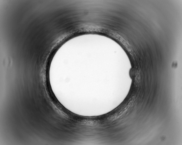 X0000103440629200810101106