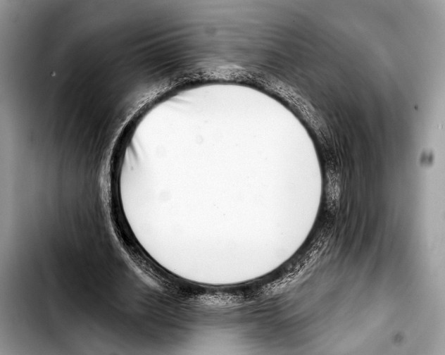 X0000103440630200810101106
