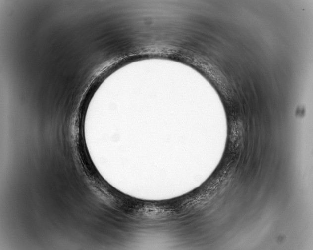 X0000103440632200810101106