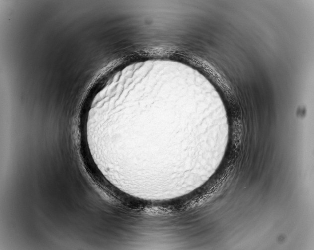 X0000103440634200810101106