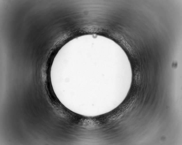 X0000103440635200810101106