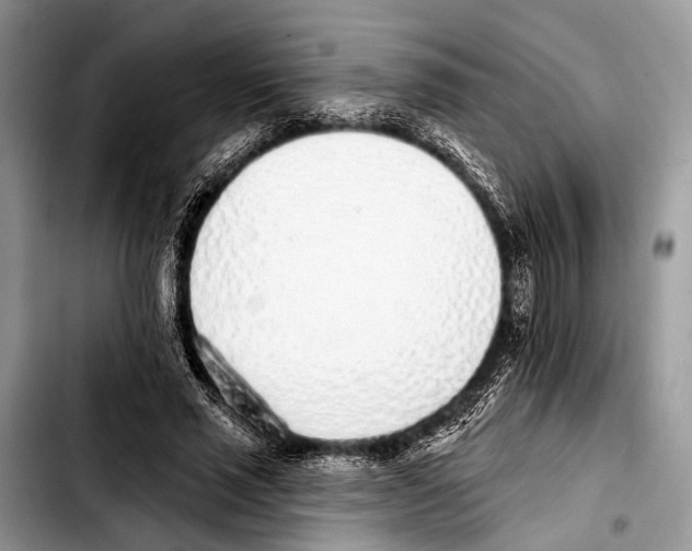 X0000103440637200810101106
