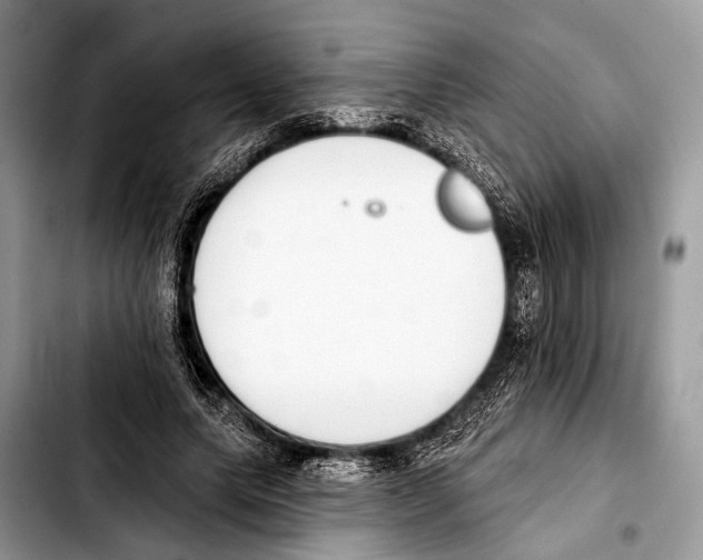 X0000103440639200810101106