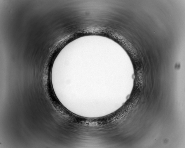 X0000103440640200810101106