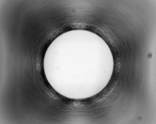 X0000103440641200810101106