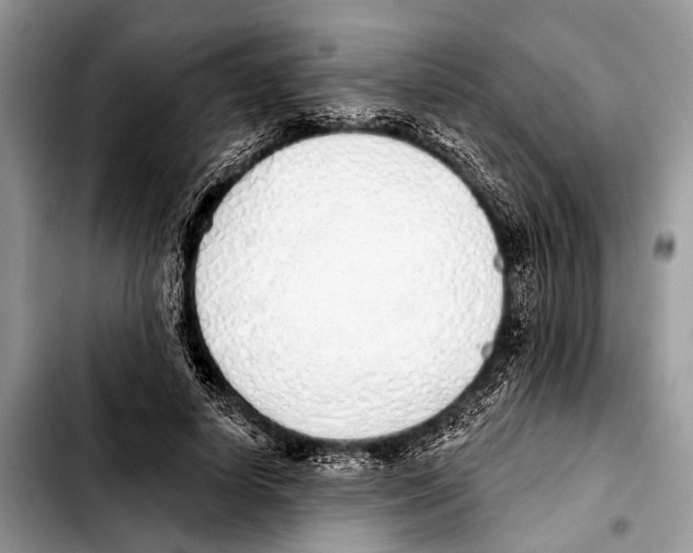 X0000103440642200810101106