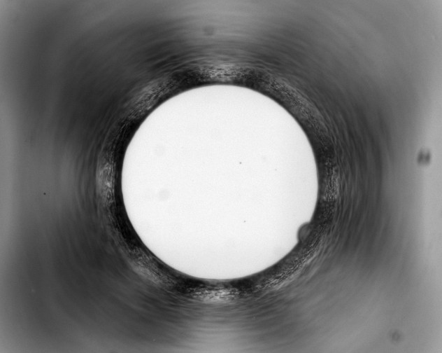 X0000103440646200810101106