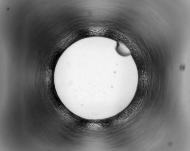 X0000103440649200810101106
