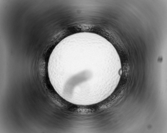 X0000103440650200810101106
