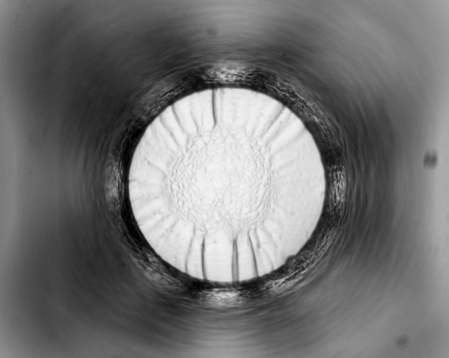 X0000103440651200810101106