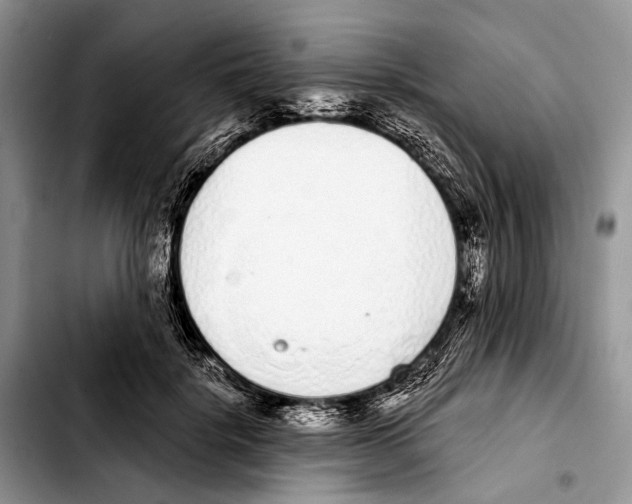 X0000103440652200810101106