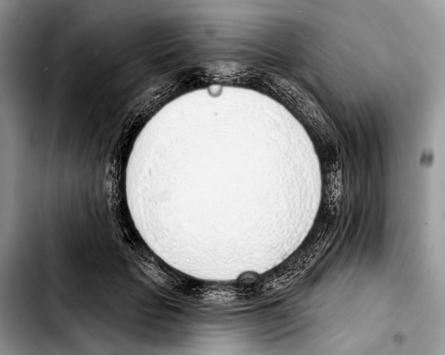 X0000103440653200810101106