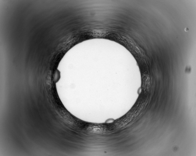 X0000103440655200810101106