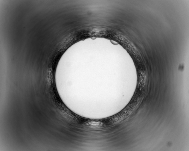 X0000103440659200810101106