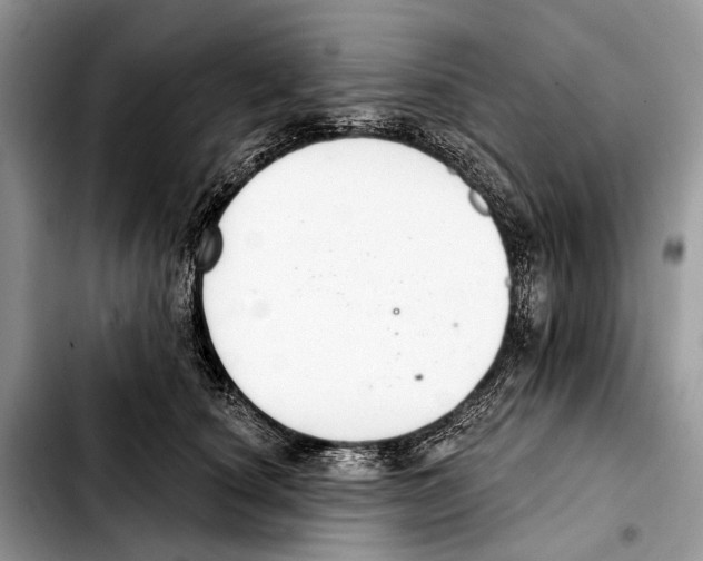 X0000103440660200810101106