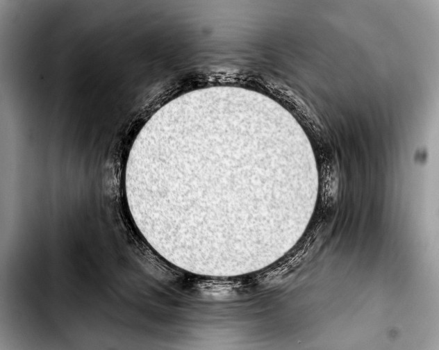 X0000103440661200810101106